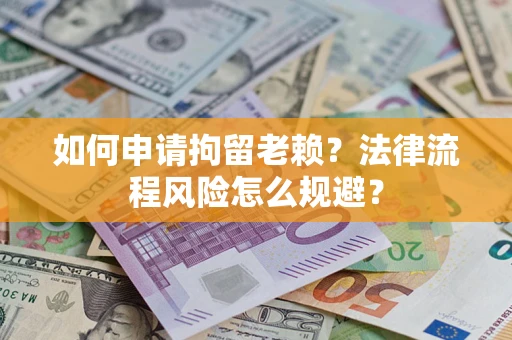 武汉如何申请拘留老赖？法律流程风险怎么规避？