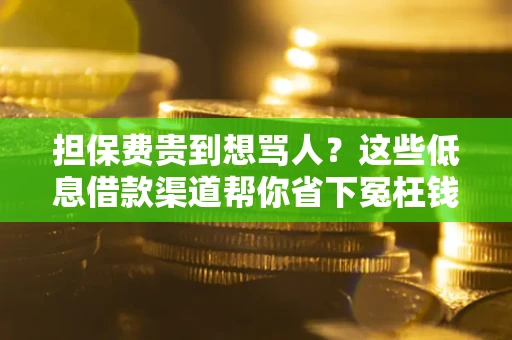 武汉担保费贵到想骂人？这些低息借款渠道帮你省下冤枉钱