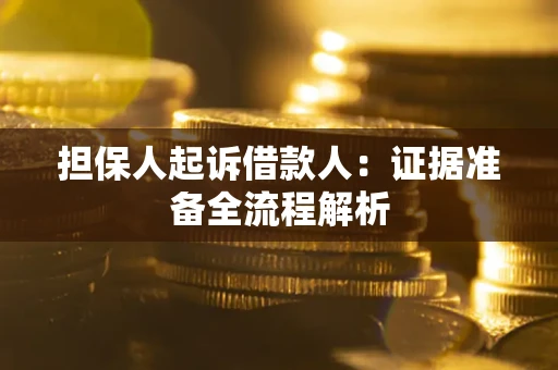 武汉担保人起诉借款人：证据准备全流程解析