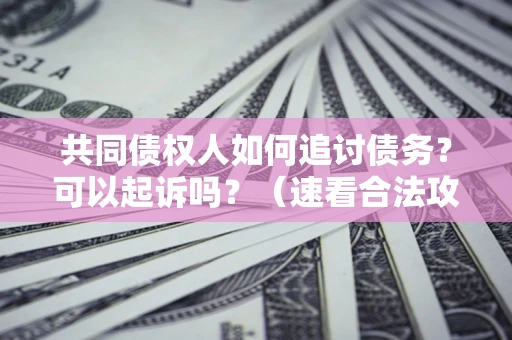 武汉共同债权人如何追讨债务？可以起诉吗？（速看合法攻略）