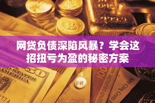 武汉网贷负债深陷风暴？学会这招扭亏为盈的秘密方案